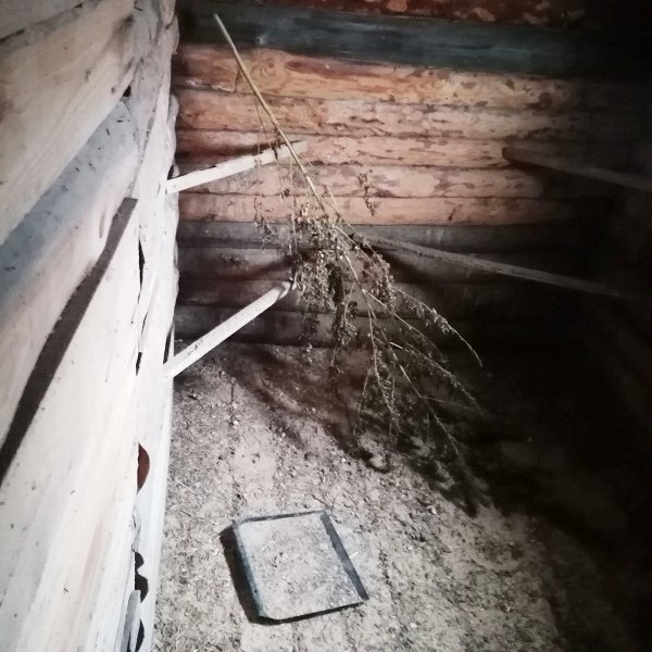Зауральские наркополицейские изъяли у жителя Кетовского округа более килограмма частей растений конопли